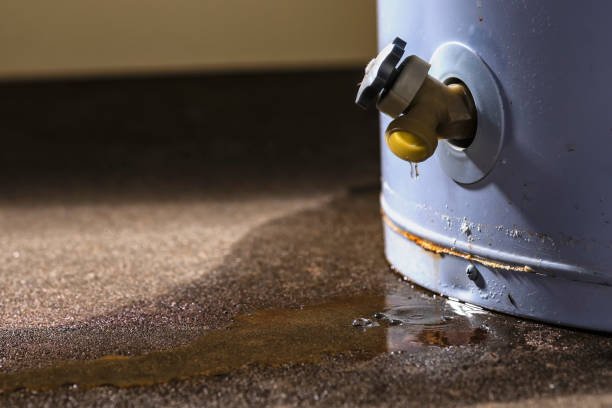 Best Flooded house restoration  in Orrville, OH