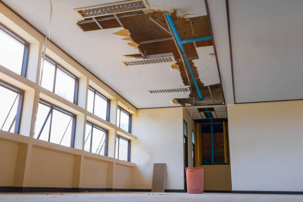 Best Basement water damage restoration  in Orrville, OH