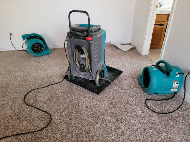 Professional Water damage restoration in Orrville, OH