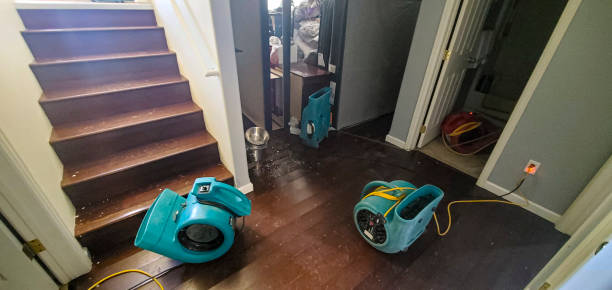 Best Mold removal after water damage  in Orrville, OH