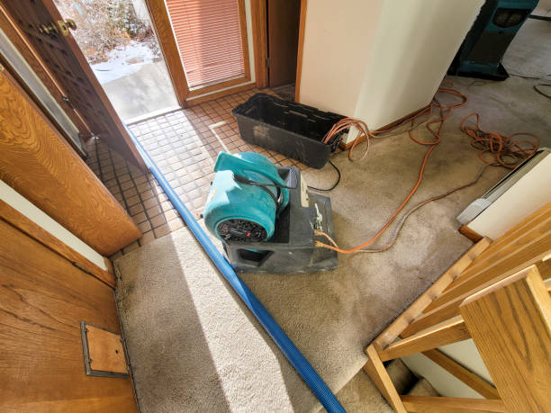Best Carpet water damage restoration  in Orrville, OH