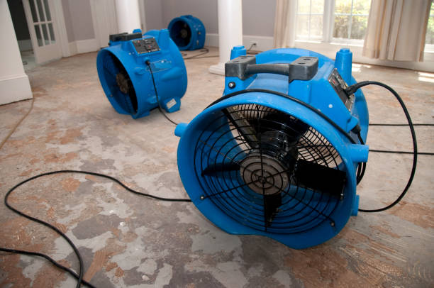 Best Mold removal after water damage  in Orrville, OH