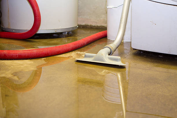 Best Ceiling water damage repair  in Orrville, OH
