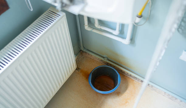 Best Water damage cleanup near me  in Orrville, OH