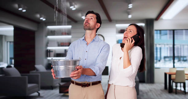 Best Fire Damage Restoration  in Orrville, OH